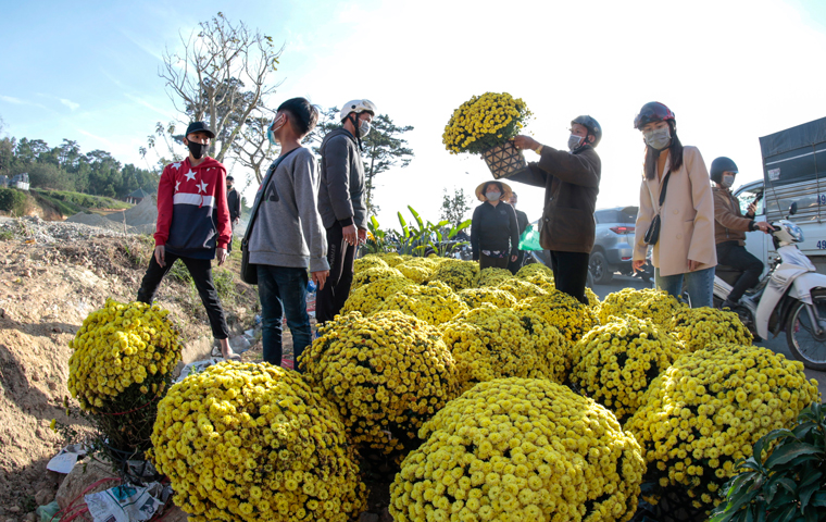 Hoa ''xổ hàng'', dân tấp nập đi mua chiều 30 tết