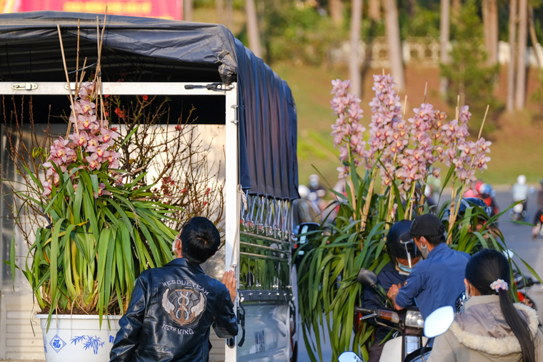 Nhiều người bán lan Đà Lạt cũng giảm giá từ 500.000 tới cả triệu đồng/chậu để kích thích lượng người mua nhiều hơn trong ngày bán hoa tết cuối cùng của năm