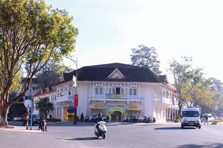 Nhất Linh, người định danh các loại phong lan Đà Lạt