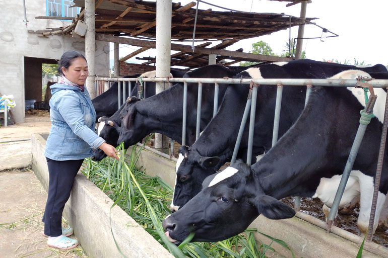 Đơn Dương nỗ lực giảm nhanh hộ nghèo