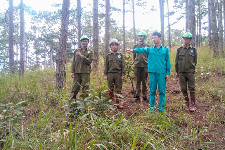 Chuyện về những người gác rừng trong dịp tết