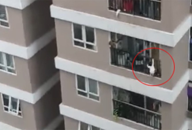 Sự thực sức nặng em bé 3 tuổi rơi từ tầng 12 xuống là bao nhiêu?