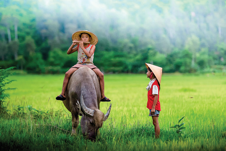 Mẹ đồng quê...