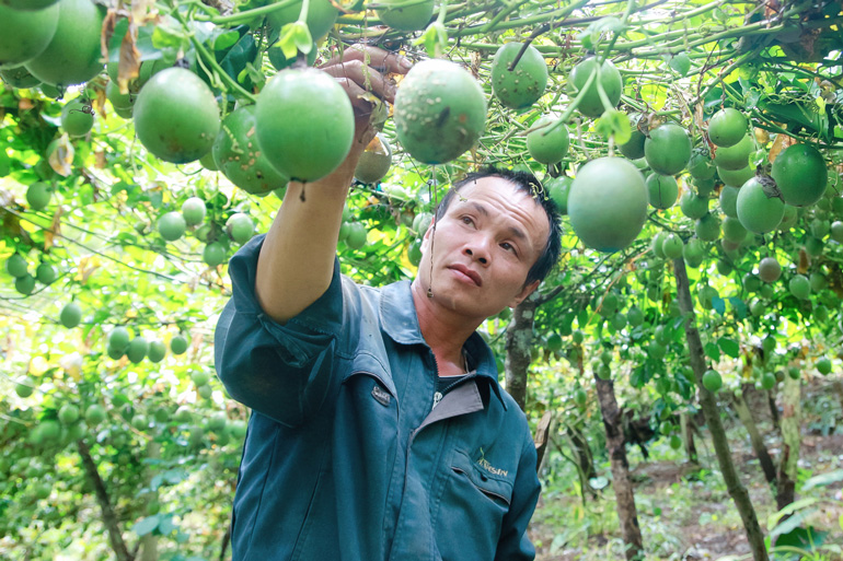 Xây dựng nông thôn mới ở Lạc Dương: Chậm để chắc