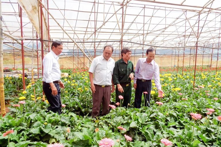Cựu chiến binh không cam chịu đói nghèo