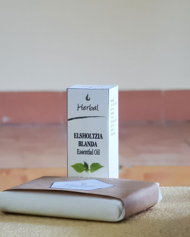 Sản phẩm tinh dầu và xà phòng từ nghiên cứu của Mai Nhật Bảo Hân đạt giải khuyến khích cuộc thi nghiên cứu khoa học năm 2020 do Bộ Giáo dục và Đào tạo tổ chức
