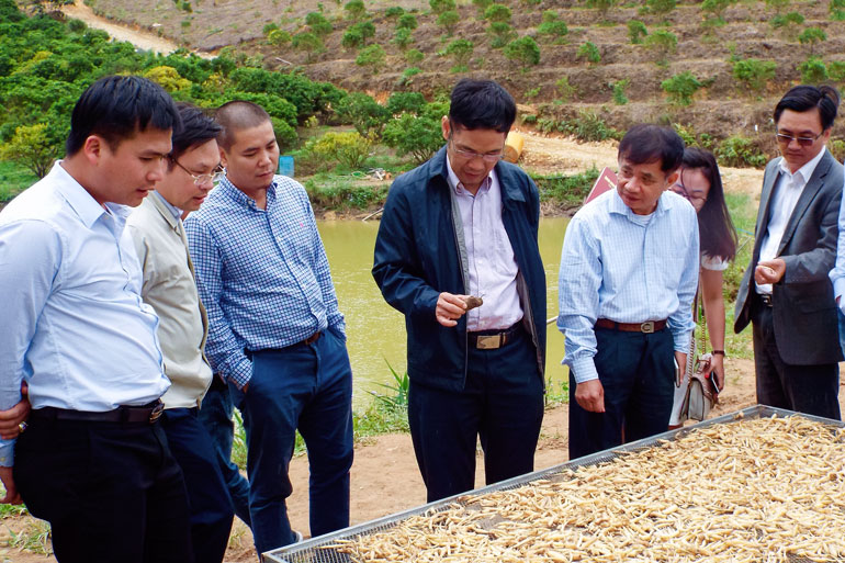 Trung tâm Ứng dụng khoa học và công nghệ Lâm Đồng nỗ lực đưa khoa học công nghệ vào cuộc sống