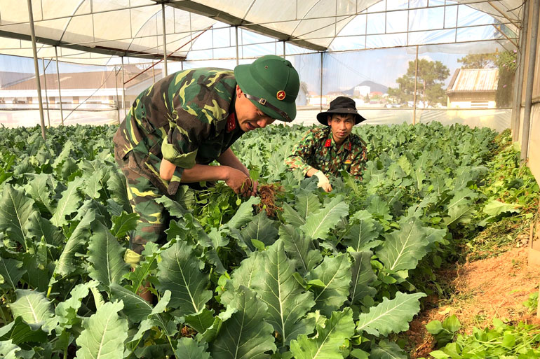 Lính vận tải tăng gia sản xuất