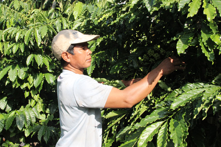 Tạo bước tiến trong công tác giảm nghèo