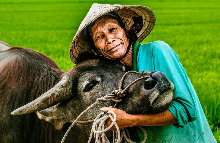 Đôi bạn - Bùi Minh Châu