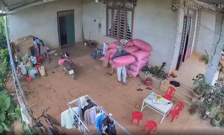 Nghi phạm trộm tiêu  ra đầu thú tại Công an xã