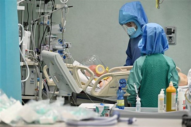 Tế bào T &quot;sát thủ&quot; - Hy vọng trong cuộc chiến chống dịch COVID-19