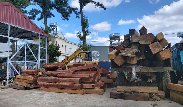 Khởi tố vụ án vận chuyển, tàng trữ gỗ lậu tại Thôn Ma Am
