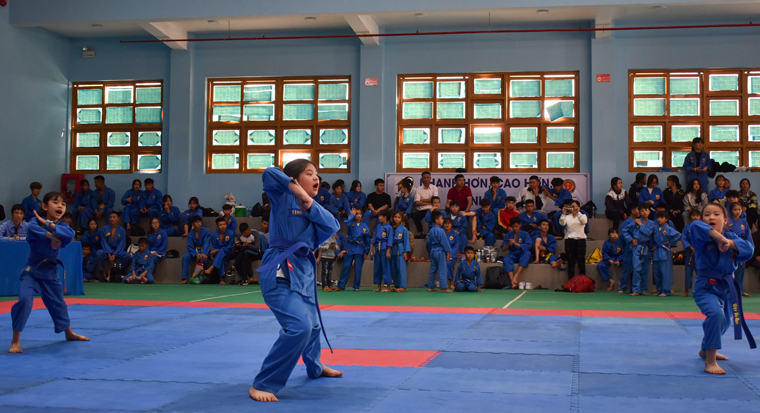 Gần 250 vận động viên tham gia giải Vovinam các CLB tỉnh