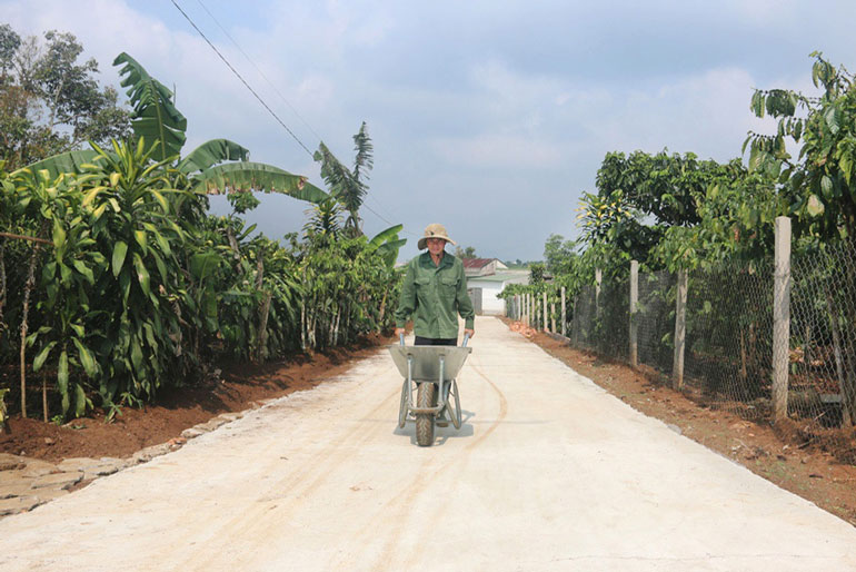 Hướng đến thôn nông thôn mới tiêu biểu