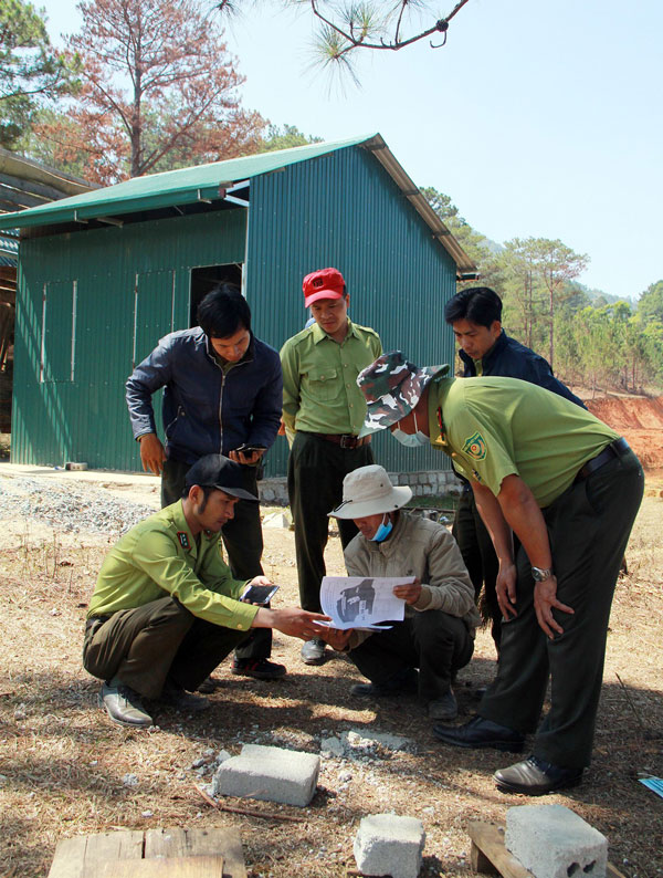Thực kiểm tra rừng và mấy điều suy nghĩ