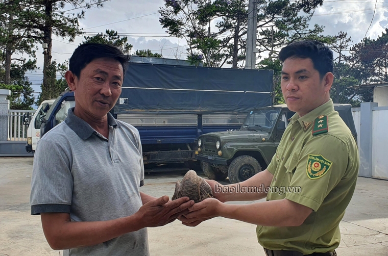 Ông Dũng (bên trái), giao nộp cá thể Tê tê cho Hạt Kiểm lâm Đà Lạt