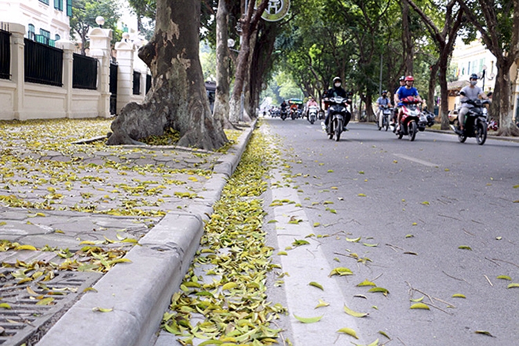 Bắc Bộ mưa nhỏ, Tây Nguyên và Nam Bộ có mưa rào và dông
