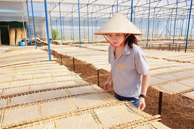 Nâng tầm sản phẩm quê nhà