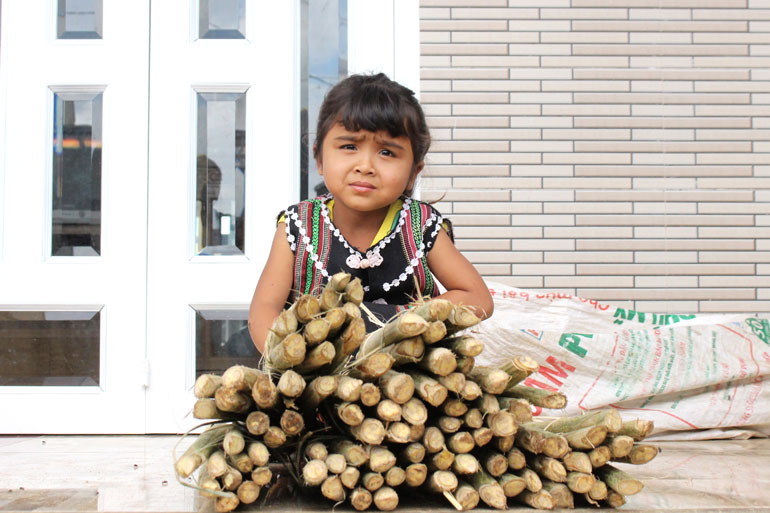 Đắng ngọt mây rừng