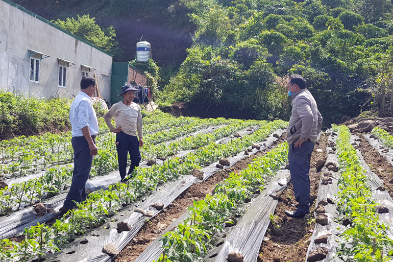 Đinh Trang Thượng giúp nâng cao đời sống người dân