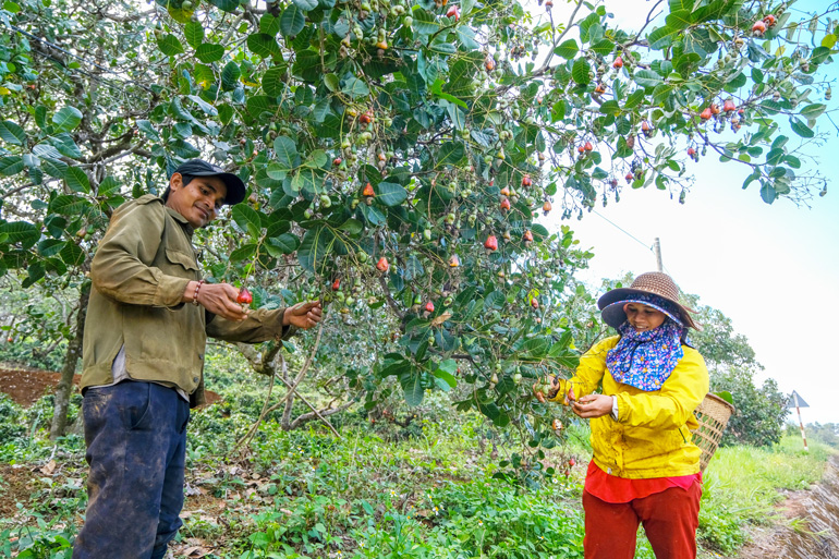 Tự hào nơi mạch nguồn cách mạng