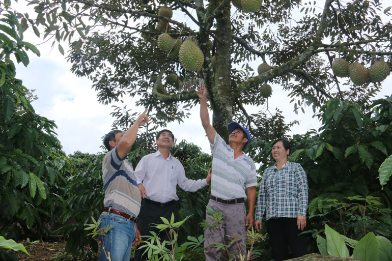 Nhiều bà con dân tộc Mường làm giàu từ mô hình đa canh