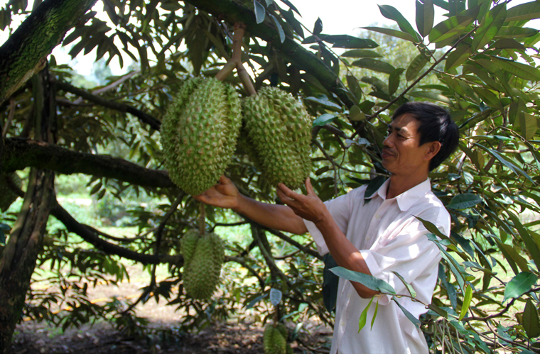 Phê duyệt quy hoạch xây dựng vùng huyện Đạ Huoai đến năm 2035, tầm nhìn đến năm 2050