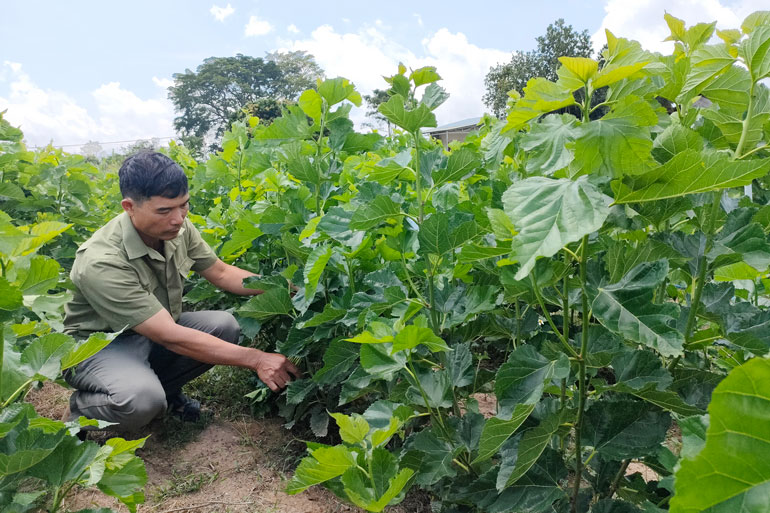 Thành công nhờ dám nghĩ, dám làm
