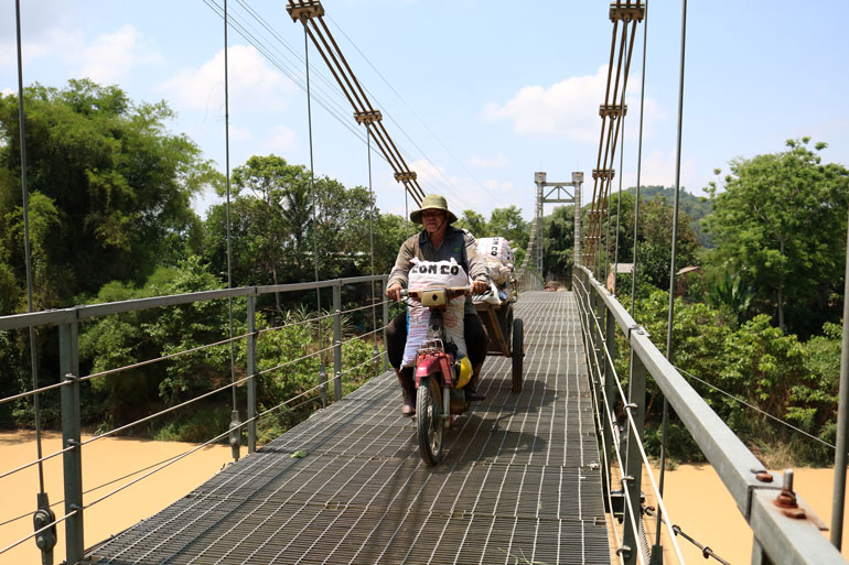 Dải xanh bên dòng Đồng Nai
