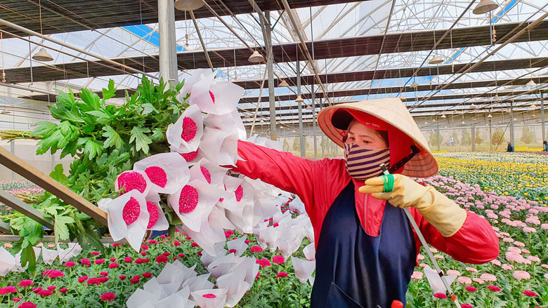 Ngày hội non sông - Niềm tin và kỳ vọng (Bài 7)