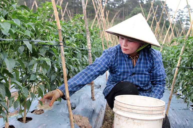 Ổn định cuộc sống vùng giãn dân