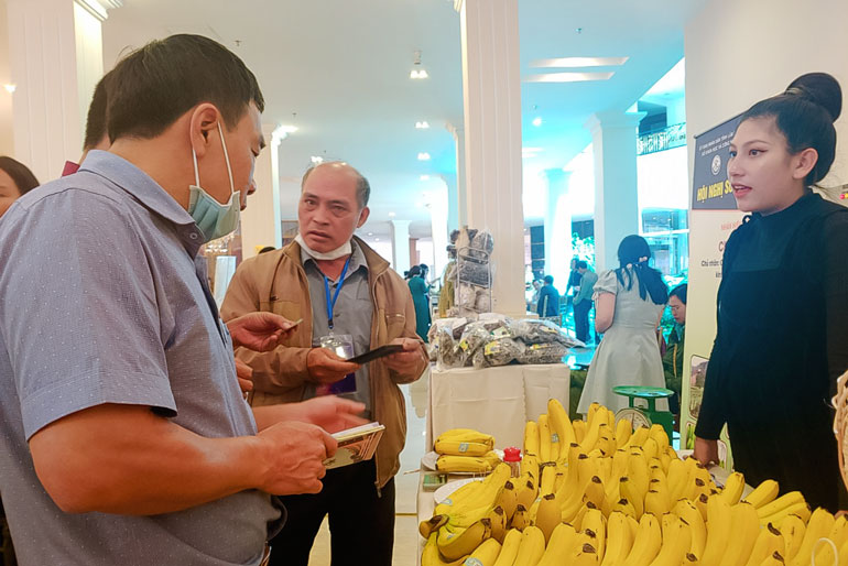 Đẩy mạnh hoạt động sở hữu trí tuệ, xây dựng thương hiệu cho nông sản đặc trưng