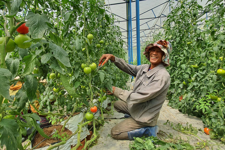 Chuyển biến tích cực trong học tập và làm theo Bác ở Đam Rông