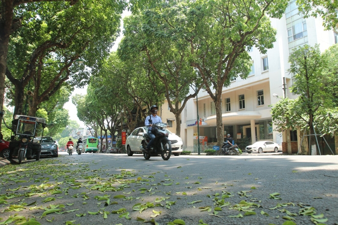 Thời tiết ngày 27/5: Tây Nguyên và Nam Bộ có mưa dông
