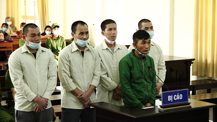 Nhóm trộm 200 chậu lan đột biến lãnh án