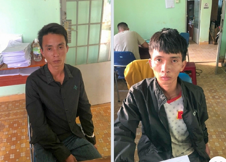 Tạm giữ 2 anh em ruột đi trộm bò