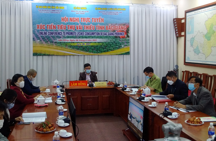 Xúc tiến tiêu thụ vải thiều Bắc Giang