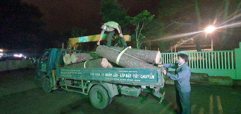 Gỗ tang vật đang được thu hồi, tạm giữ tại Hạt Kiểm lâm TP Đà Lạt