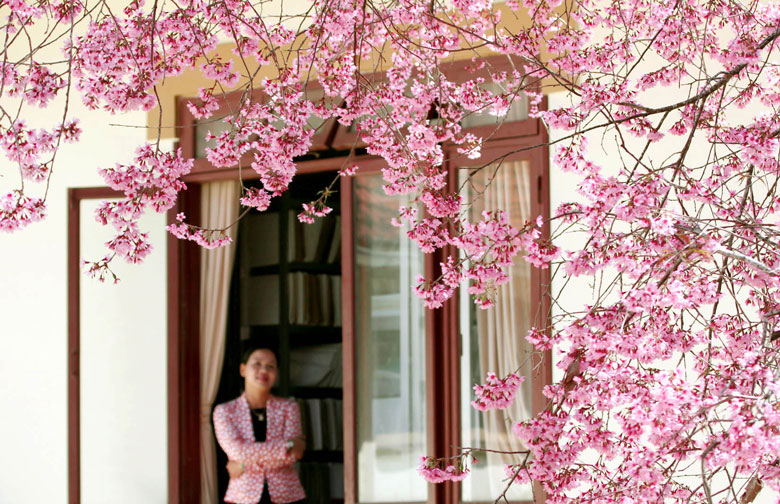 Đà Lạt, từ ô cửa biệt thự
