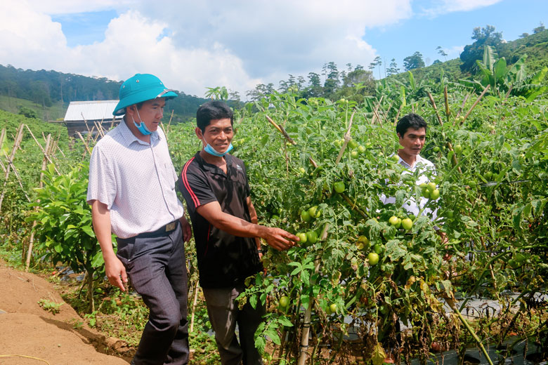 Đảng bộ xã Đinh Trang Thượng gắn công tác xây dựng Đảng với phát triển kinh tế