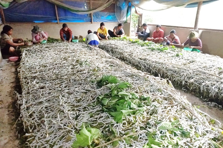 Khởi sắc thôn đồng bào dân tộc thiểu số