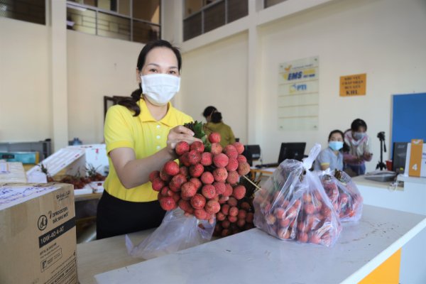 Mua vải thiều, quyên góp hỗ trợ người dân bị ảnh hưởng bởi dịch Covid-19