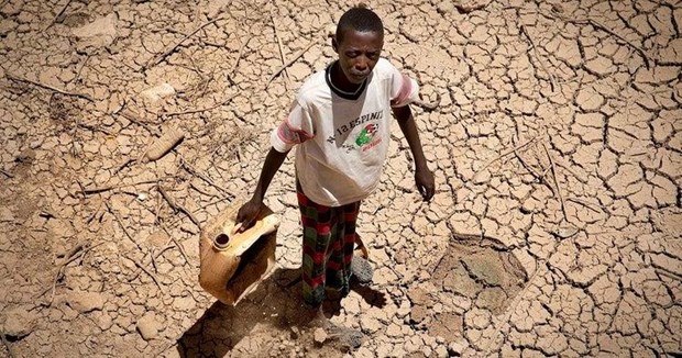 Ít nhất 2,8 triệu người tại Somalia đối mặt với nguy cơ mất an ninh lương thực