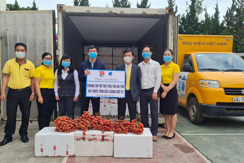 Tuổi trẻ Lâm Đồng hỗ trợ tiêu thụ trên 10 tấn vải thiều Bắc Giang