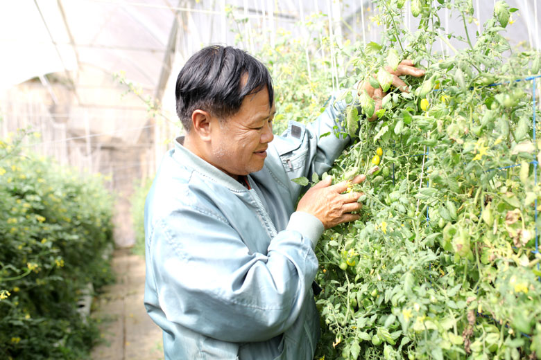 Nông sản VietGAP - hướng tiêu dùng trong tương lai (bài 1)
