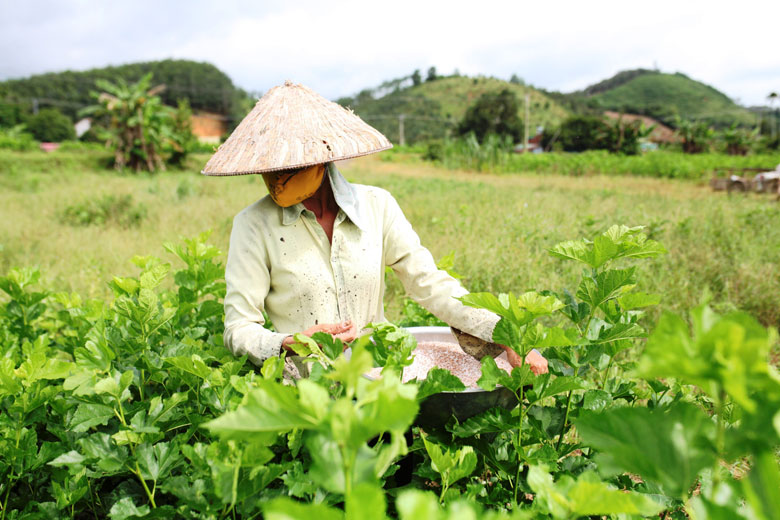 Mỹ Đức những ngày phong toả