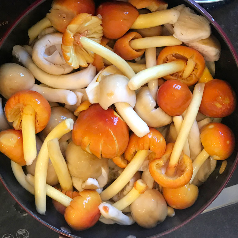 Nấm trứng gà đã sơ chế vô cùng hấp dẫn