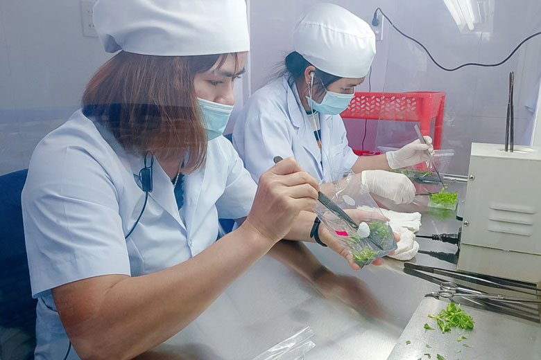 Bảo tồn đa dạng sinh học để phát triển bền vững