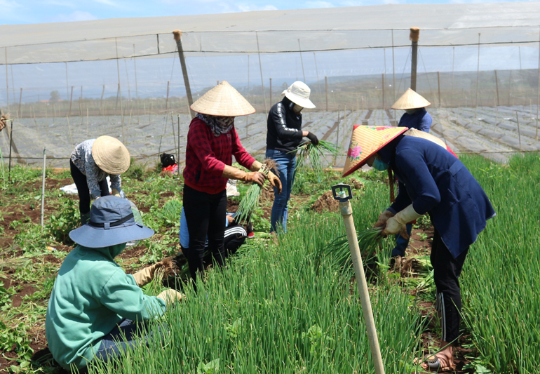 Những chuyến xe thắm nghĩa đượm tình
